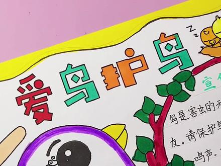 关注候鸟保护环境#爱鸟护鸟#小学生手抄报