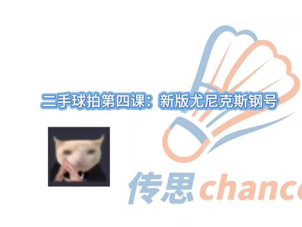 二手球拍避坑指南(四) #羽球科普 #羽毛球知识 #羽毛球meme #二手球拍#避坑指南