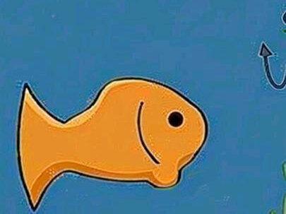 卡罗➕七星漂豆钓组详细制作教程#钓鱼 #钓鱼人 #原来钓鱼才是抖音运动顶流 #逗钓