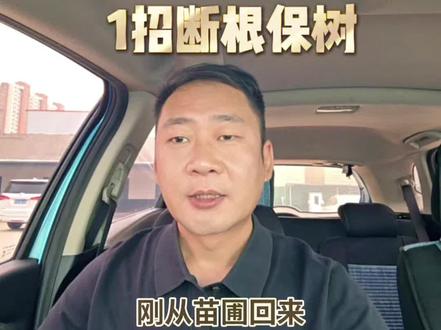 松材线虫病急救法,1招断根保树 油松篇来啦~松材线虫病太要命,分享1招断根保树急救法,超实用👍 #松材线虫病 #园林绿化养护 #真实生活分享计划