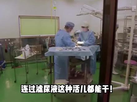日本培养“半人半猪”怪物,体内器官跟人无异,甚至能供人所用#科普 #科普一下 #涨知识 #内容启发搜索 #奇葩