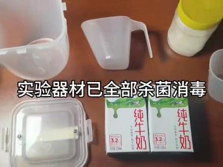 亲手制作可口酸奶全过程 #手工diy #vlog日常