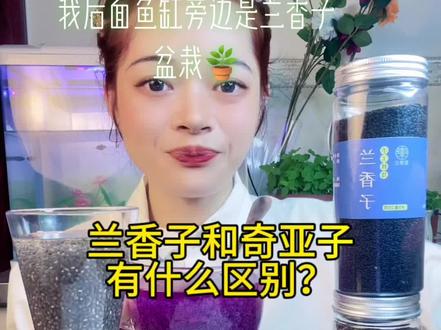 兰香子奇亚子好处多多非常健康的纯天然植物种子,兰香子饱腹感强特别适合管理身材的姐妹们去吃#抖音美食推荐官 #记录真实生活 #抖音美食 #吃货 #零食推荐