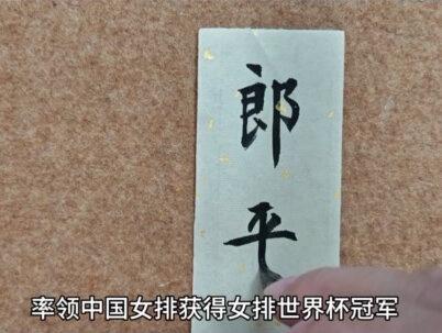 中国女排史上,10大名将都是谁?#书法 #女排