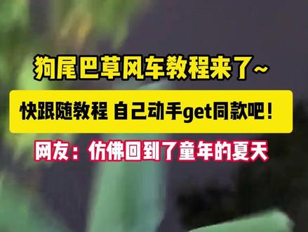 狗尾巴草风车教程来了 (来源:@然鹅鹅鹅鹅 )#动手制作