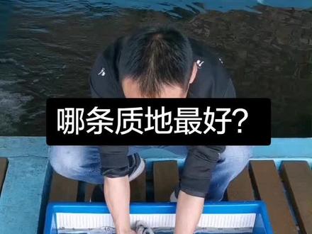 通过比较观察的方式,让大家正确的认识白写的质地鉴赏。