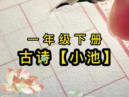 古诗【小池】这样的字你喜欢吗 #写字是一种生活