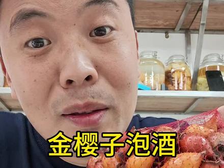 你泡金樱子三蒸三晒了吗?评论区聊聊#金樱子 #果酒