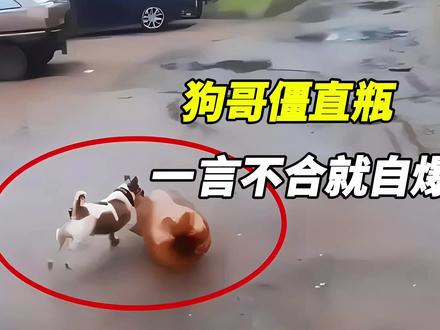 啤酒周转桶一言不合就自爆,有多危险#科普一下 #啤酒周转桶 #叨哥僵直瓶 #啤酒桶爆炸