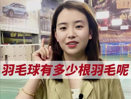 羽毛球有多少根羽毛呢?#体育用品 #羽毛球 #羽毛球拍 #战羽体育