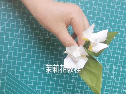 茉莉花折纸教程
花和叶子都是用边长7.5厘米的正方形折成
#折纸教程