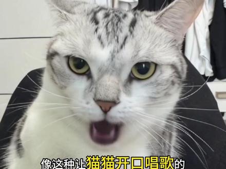猫猫开口唱歌ai特效入口教程 #ai对口型 #好烦做猫真的好难 #宠物ai特效入口唱歌 #猫咪的迷惑行为 #照片开口唱歌