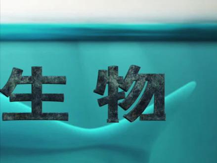 海洋中最凶猛的十大动物第三集