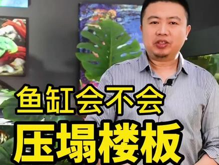 家里鱼缸太大,把楼板压塌了怎么办?怎么计算安全不安全?#养鱼 #观赏鱼 #鱼缸