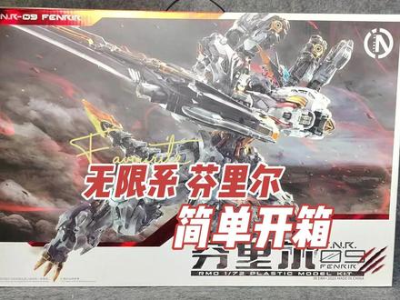 无限系芬里尔到货了,大货简单开箱#无限系芬里尔 #胶佬 #拼装模型 #国模