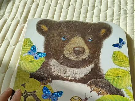 小熊波比,小兔比利触摸书