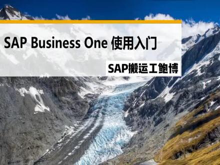 SAP使用入门#sap #sapb1 #sap加快数字化转型 #自动化 #办公软件技巧