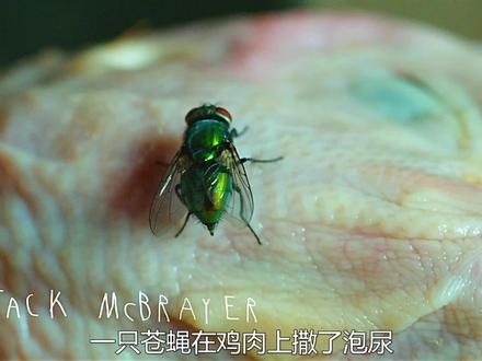 《僵尸小屁孩》一块鸡排引发的病毒,全世界的小孩都变成了丧尸