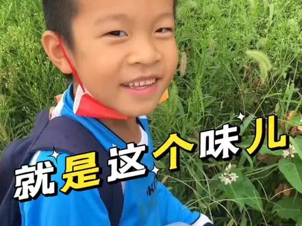 吃蚜虫的小孩#野生动物零距离 #惊不惊喜意不意外 #现场实拍 #科普 #快乐就这么简单