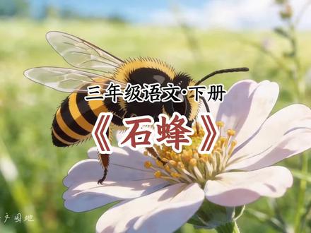 三年级语文下册《石蜂》课文预习朗读动画 #三年级语文下册 #小学语文 #小学三年级 #三年级语文 #石蜂