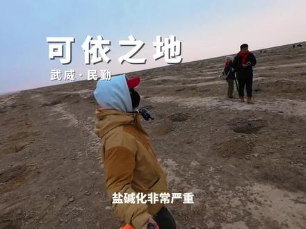 可依之地武威民勤! 我们是汇聚在同一条河流里的新青年
#真实生活分享计划 #民勤 #禾伙人 #沙退绿进 #青年创作者成长计划