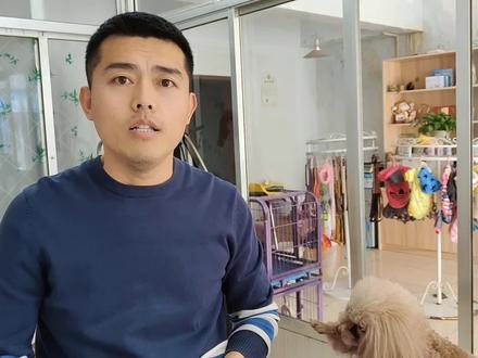 狗狗为什么要裁耳 #萌宠 #宠物