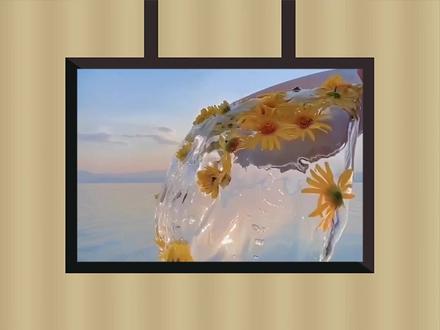 太酷了~@傻瓜英语 @抖音小助手 #零基础学英语 #知识创作人