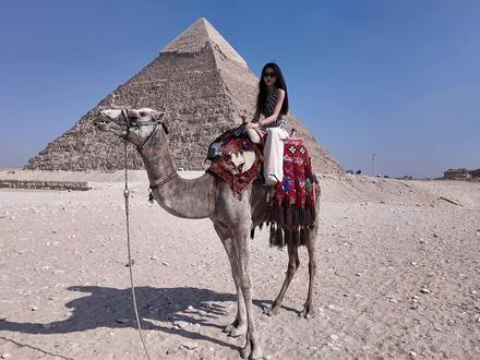 当我用人民币体验埃及物价
#埃及 #环球旅行1995 #交换世界计划 #青年创作者扶持计划