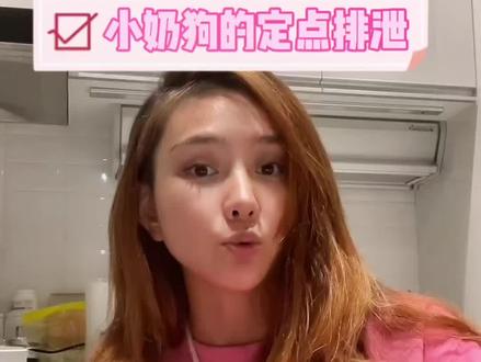 小奶狗的定点排泄
“我的小狗接回家总是乱尿”,困扰新手主人的第一大问题。
我的老二老三靠这套办法,在一个星期里都有了自主意识,已经知道尿尿要自己走去厕所里尿尿。
主人应该怎么做视频里都有讲,希望可以帮到你。