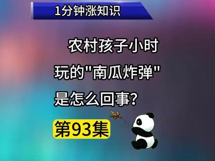 第93集|农村孩子小时候玩的“南瓜炸弹”是怎么回事? #冷知识 #科普一下 #猎奇 #知识盲盒 #关注我每天坚持分享知识