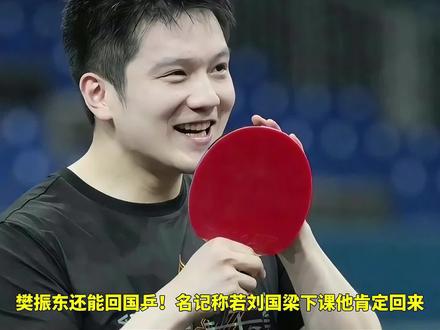 樊振东还能回国乒?名记称若刘国梁下课他肯定回来,莎头失特权