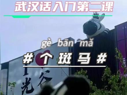 武汉话入门第二课#湖北方言