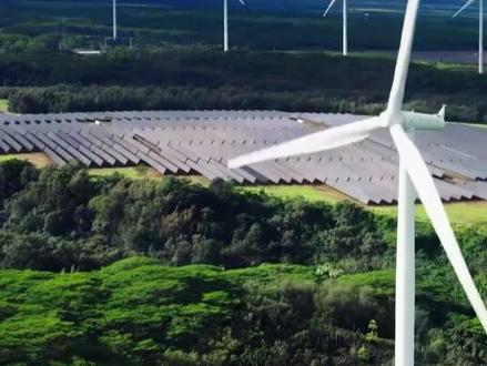 台湾省境内几乎不产石油,大量依赖进口,为何油价却那么低?#科普#涨知识#冷知识