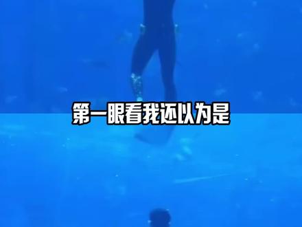 不知道,反正吴磊的身材很曼妙#吴磊 #水族#三亚#骑有此理 #骑行