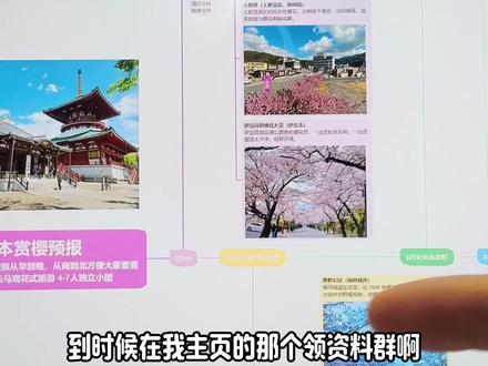 2026赏樱全总结文件来了 #日本樱花季 #赏樱攻略 #日本深度游 #太阁之旅