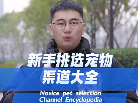 新手选宠,渠道大全 Hifriends, let's take a look at
Chinese cute pets. #地球村民携宠报到 #喵言汪语#Meowmemes #我家宝贝过新年#约克夏