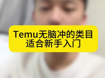 TEMU可以无脑冲的类目,适合新手入门去做#TEMU #跨境电商