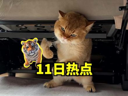6月11日社会热点信息差