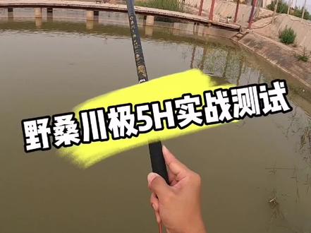 上好佰福特野桑川极5H实战测试,被钓友称之为黑坑钓杆的天花板,适合黑坑偷驴或者中后期,你们同意吗?