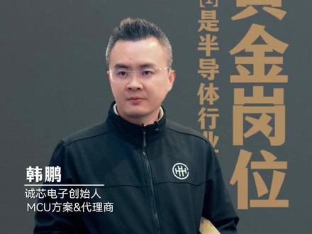 凭什么说FAE是半导体行业的“黄金岗位”? #FAE销售工程师 #芯片 #单片机 #半导体 #工程师