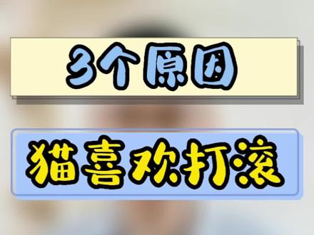 猫喜欢打滚儿,就只是跟你示好么?其实还有另外两种意思#铲屎官的乐趣 #养猫养猫 #猫咪的迷惑行为