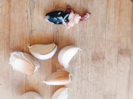 #鸡蛋的神仙吃法 教你们止咳的方法,特别是对于那种小朋友 最怕打针的 ,效果真的特别好 小朋友 大人都可以使用 ,不要小看 一个鸡胆和大蒜 ,看完一定要赞美不不然你们 刷着刷着就找不到我了 ,赞美👻