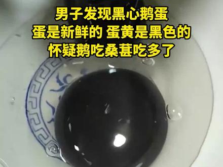 5月23日,浙江杭州。男子发现黑心鹅蛋,蛋是新鲜的,#蛋黄是黑色的 ,真是太奇怪了。#奇怪