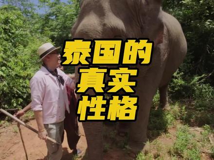 泰国的真实性格 #泰国 #文化 #涨知识 #柬埔寨 #热点话题