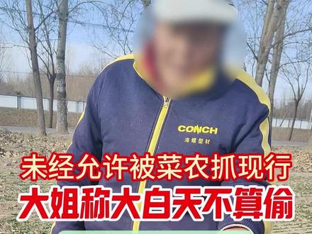 大姐擅自拔菜,辩称白天不算偷 一个月以来,个别市民听信谣言,亦或是主观小便宜心理……但大多数市民尊重农民劳动成果,主动付费采摘。再次感谢大家的关注与支持。
本菜地正常对外开放,均为付费采摘。
对外服务:有机蔬菜采摘,家庭小菜园。
菜地地址:璞瑅润府小区西侧,顺沙路与外环路交叉口西北#北京#北京市民#三农#农业#有机蔬菜#采摘#亲子教育#农业科普#乡土#乡村振兴#小菜园#田园生活#童趣#新农人#团建#社会大课堂#80后#90后