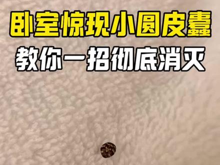 卧室惊现小圆皮蠹,教你一招彻底消灭。 房间里出现这种米粒大小、带花纹的硬壳小甲虫,这就是小圆皮蠹,成虫体长大约在2.8到5毫米。每年3到8月是皮蠹的繁殖旺季,雌性皮蠹会从门窗缝隙钻进家里,经常出现在床铺、沙发、飘窗这些地方,会在这些地方隐蔽角落产卵繁殖,一次就能产五十到一百粒卵。这是孵化出来的皮蠹幼虫,长得很像毛毛虫,会啃坏家里的皮革、家具、地毯、毛毯和衣物。皮肤不小心接触到,还可能引起过敏、瘙痒。家里发现皮蠹虫,直接用这款皮蠹专用杀虫剂,喷洒在它们经常出没的地方就行。无色无味,家庭使用更安全,成虫幼虫都能消灭。
#小圆皮蠹 #床上出现花纹小甲虫 #皮蠹虫 #小圆皮蠹虫怎么消灭 #皮蠹杀虫剂
