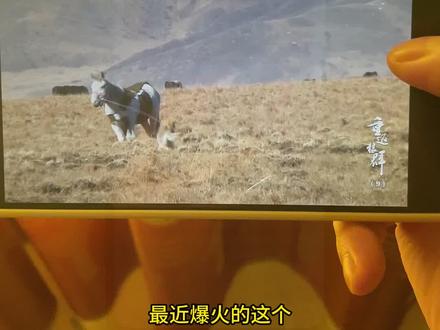 ¥cfd82AKlw0¥重返狼群纪录片10周年特别版 #重返狼群 #格林#李微漪 #纪录片 #2026了再看重返狼群依然很感动