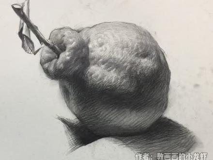 【素描静物】丑橘 丑八怪 #零基础学画画 #零基础学画画 #绘画 #绘画过程 #一起学画画 #抖出我的艺术 #每日一画 #随手画 #简笔画 #素描 #画画 #素描基础