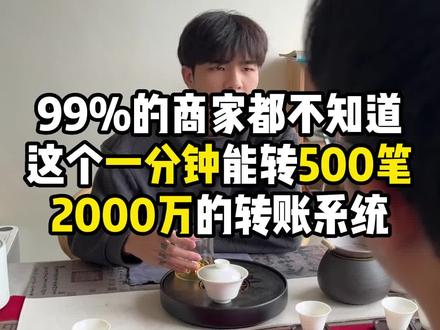 99%的商家都不知道这个一分钟能转500笔2000万的批量转账系统#批量转账 #公转私 #公户转个人账户 #转账限制 #支付宝限制三年大额转账