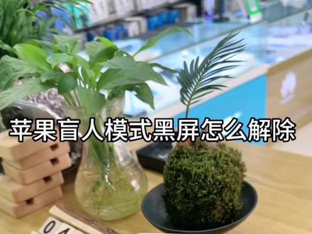 #旁白模式 #抖音小助手 @上热门/同城流量 方法1:如果录入Siri的,直接命令Siri关闭旁白也可以的。方法2:电源键连按3下。